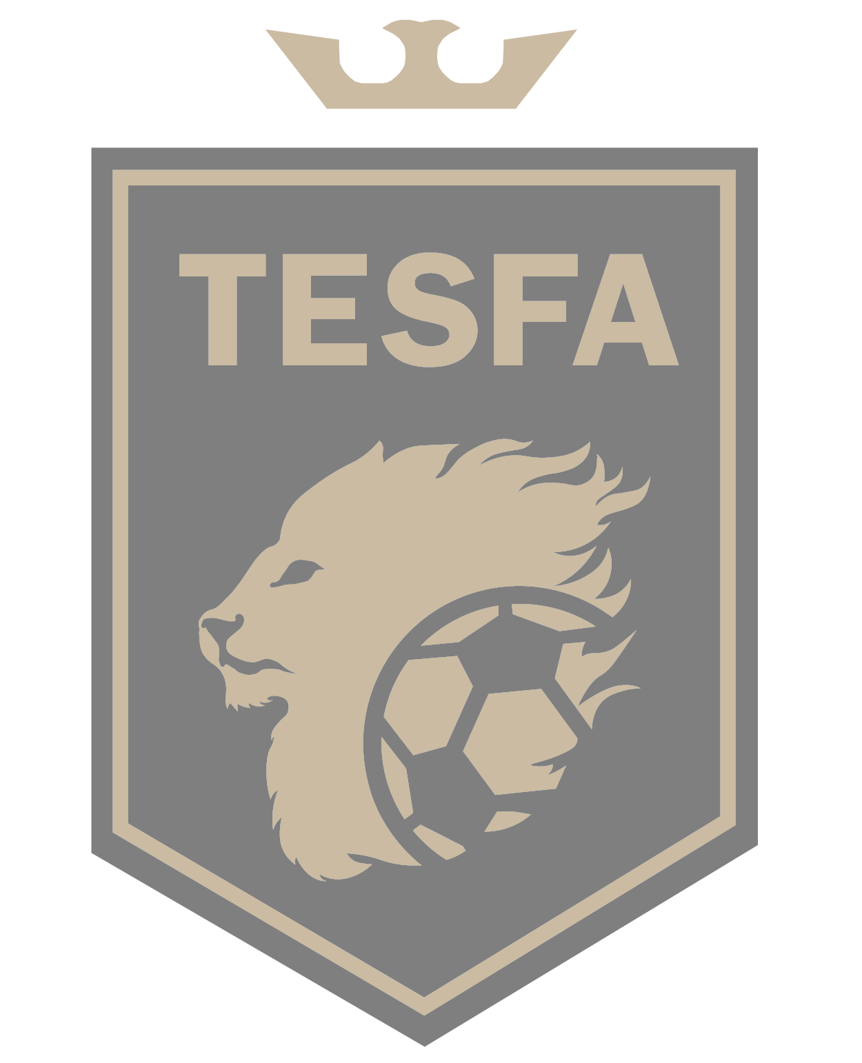 Tesfa Football Academy Logo
